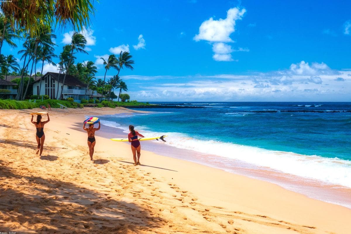 Beach Escapes