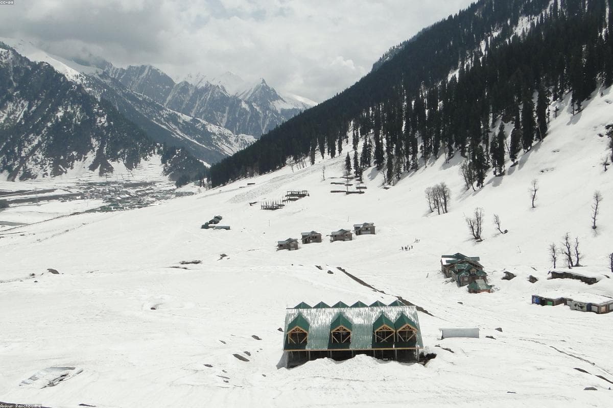 Dal Lake Shikara ride in Kashmir